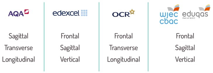 Jelly-babies-axes-principal-axes-cropped-no-title