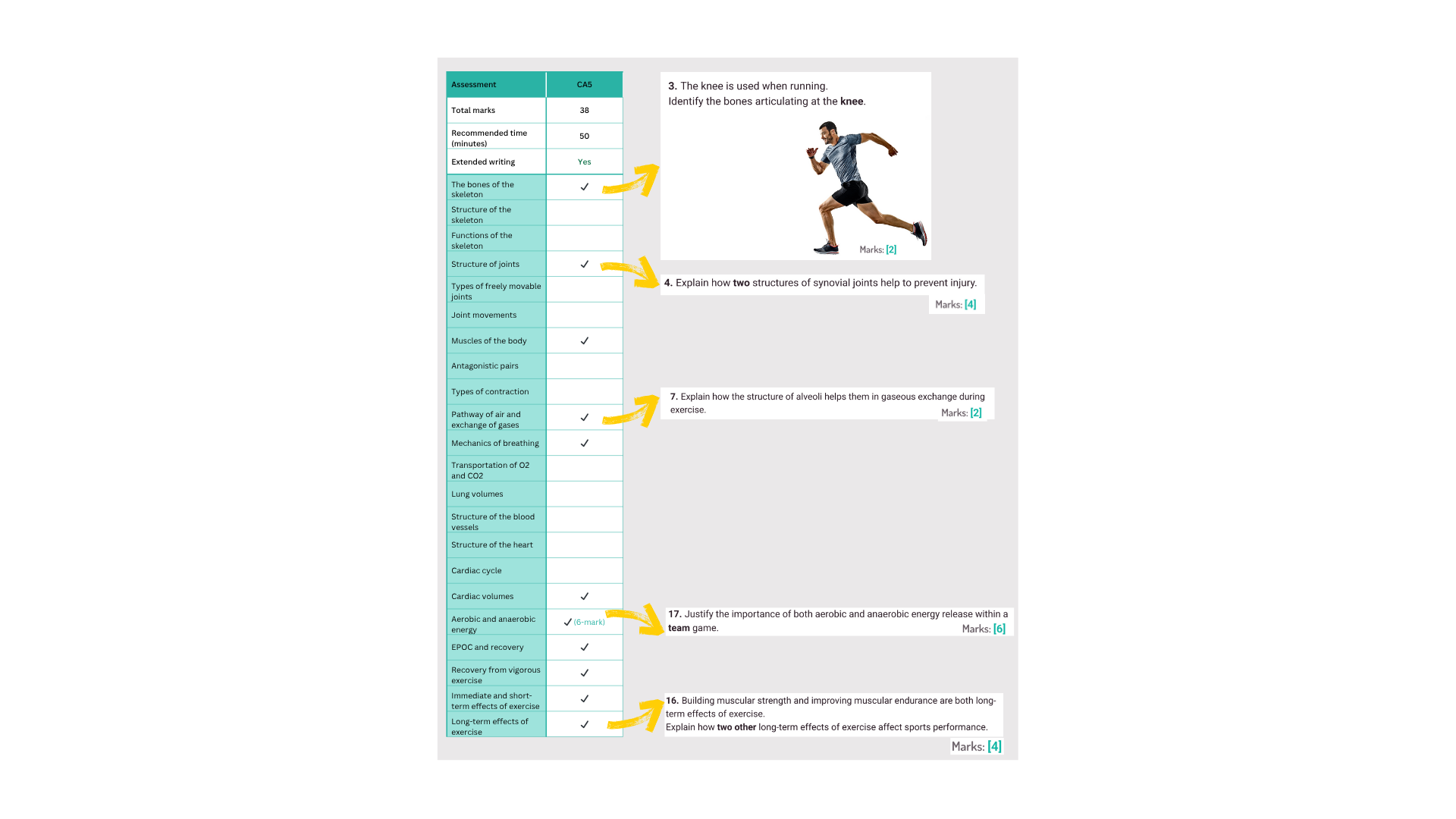 2025-32-CA5-grid-with-questions