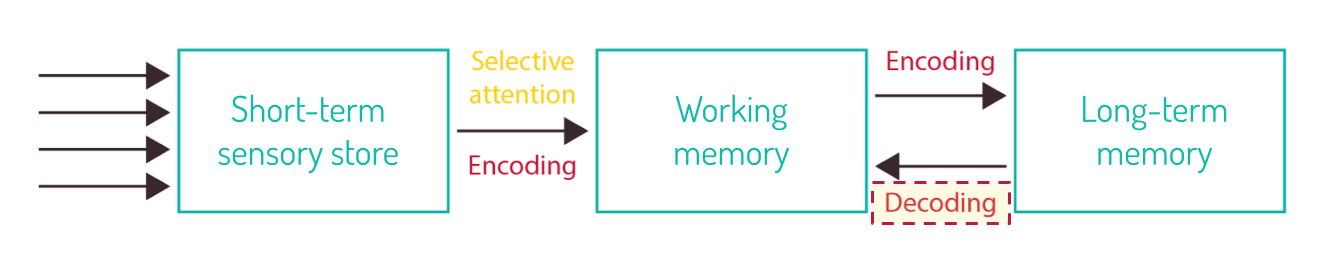 memory model